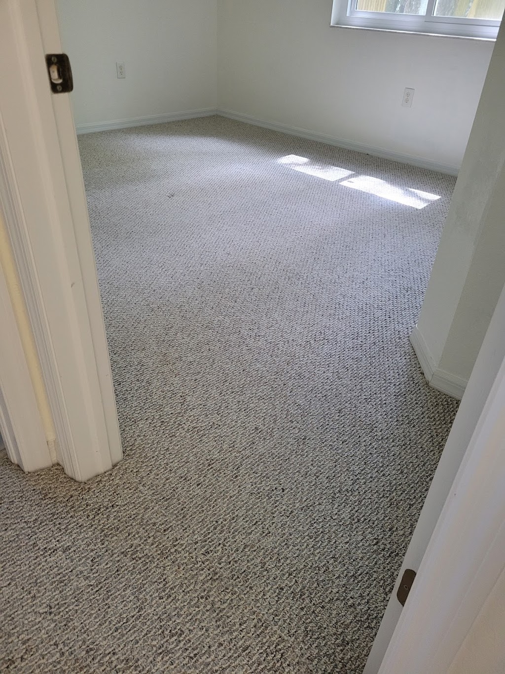 Sunshine Carpet Cleaning Spring Hill | 1320 Bishop Rd, Spring Hill, FL 34608 | Phone: (352) 556-1966