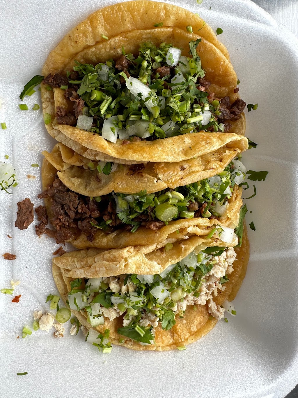 The Taco Stand Taqueria | 5038 Allen Rd, Allen Park, MI 48101, USA | Phone: (313) 724-6221