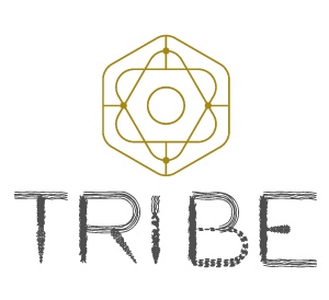 Tribe Sober Living | 5406 Martin Ave, Austin, TX 78751, USA | Phone: (512) 745-5053