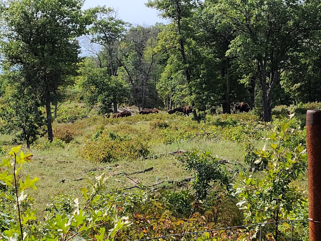 Fish Lake Nature Trails | 23603-23699 Durant St NE, East Bethel, MN 55005, USA | Phone: (612) 301-2600