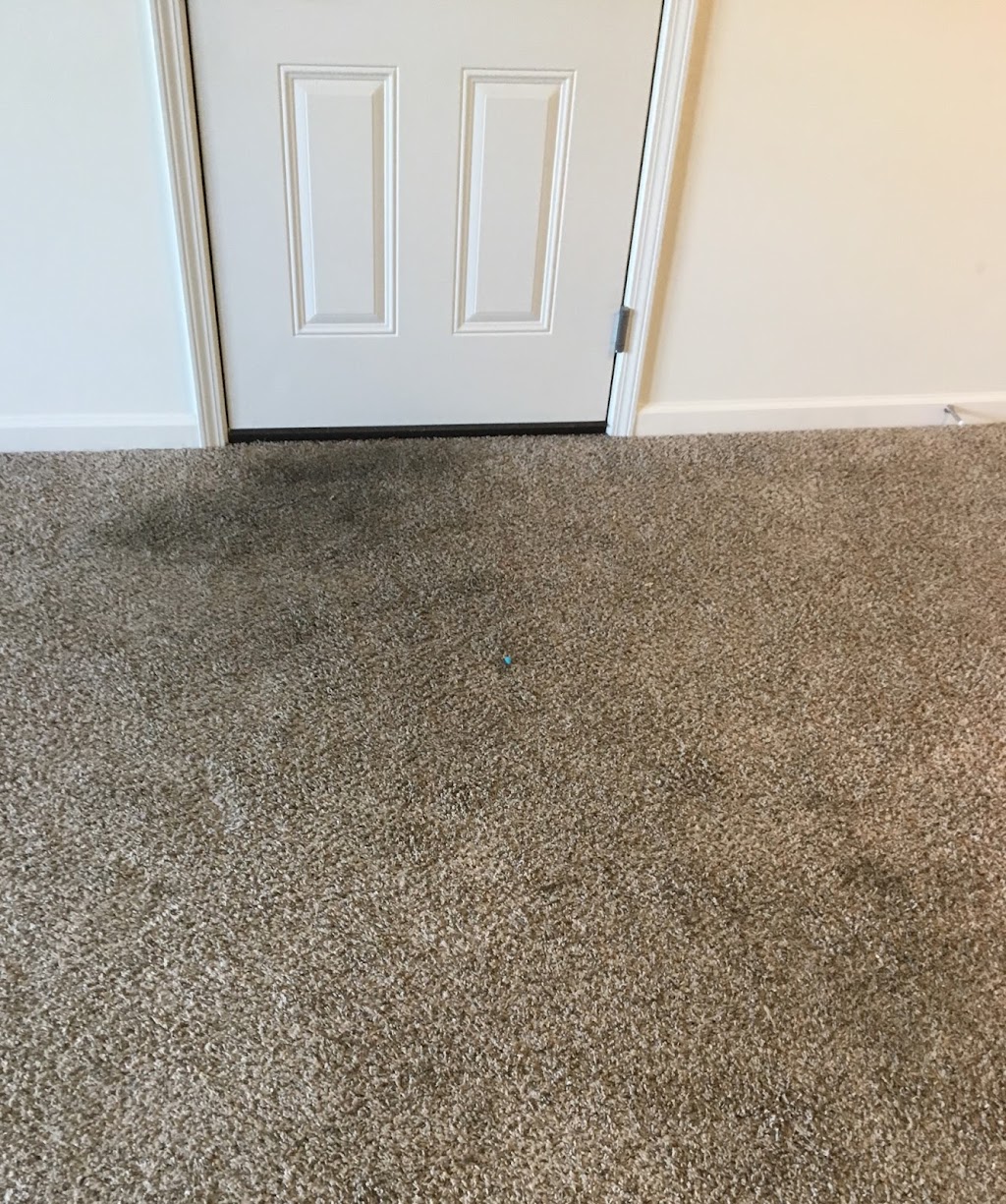 Royal Carpet Cleaning | 4206 Star Landing Rd, Nesbit, MS 38651, USA | Phone: (901) 481-2421