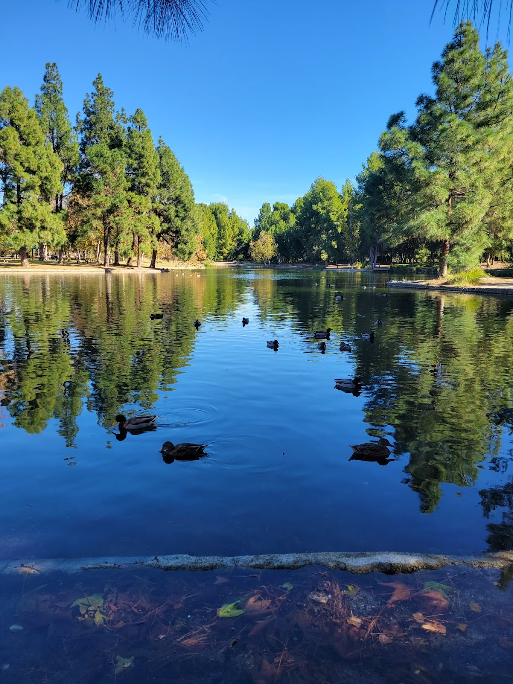 Yorba Regional Park | 7600 E La Palma Ave, Anaheim, CA 92807, USA | Phone: (714) 973-6615