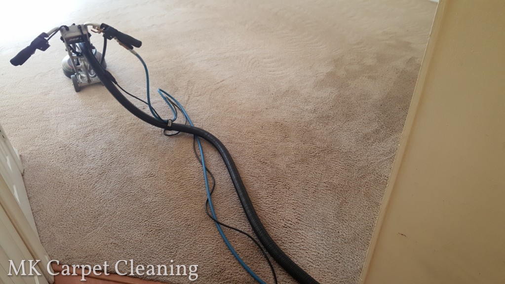 MK Carpet Cleaning | 129 W Steeple Chase Rd, Greensboro, NC 27406, USA | Phone: (336) 465-6120