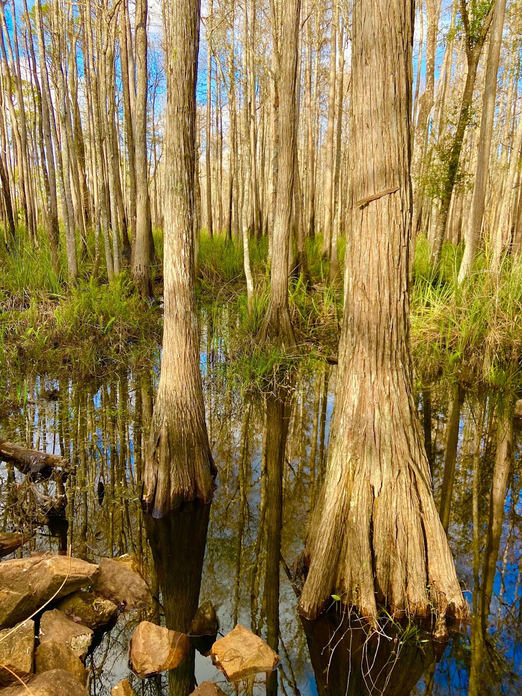 Suncoast Trail MM 22.9 - at Starkey Park Bike Trail | Suncoast Trail, Land O Lakes, FL 34638 | Phone: (727) 834-3247