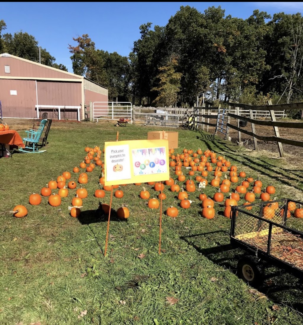 Ponies "R" Us & Mobile Petting Zoo | 28400 Grix Rd, New Boston, MI 48164 | Phone: (734) 740-5831