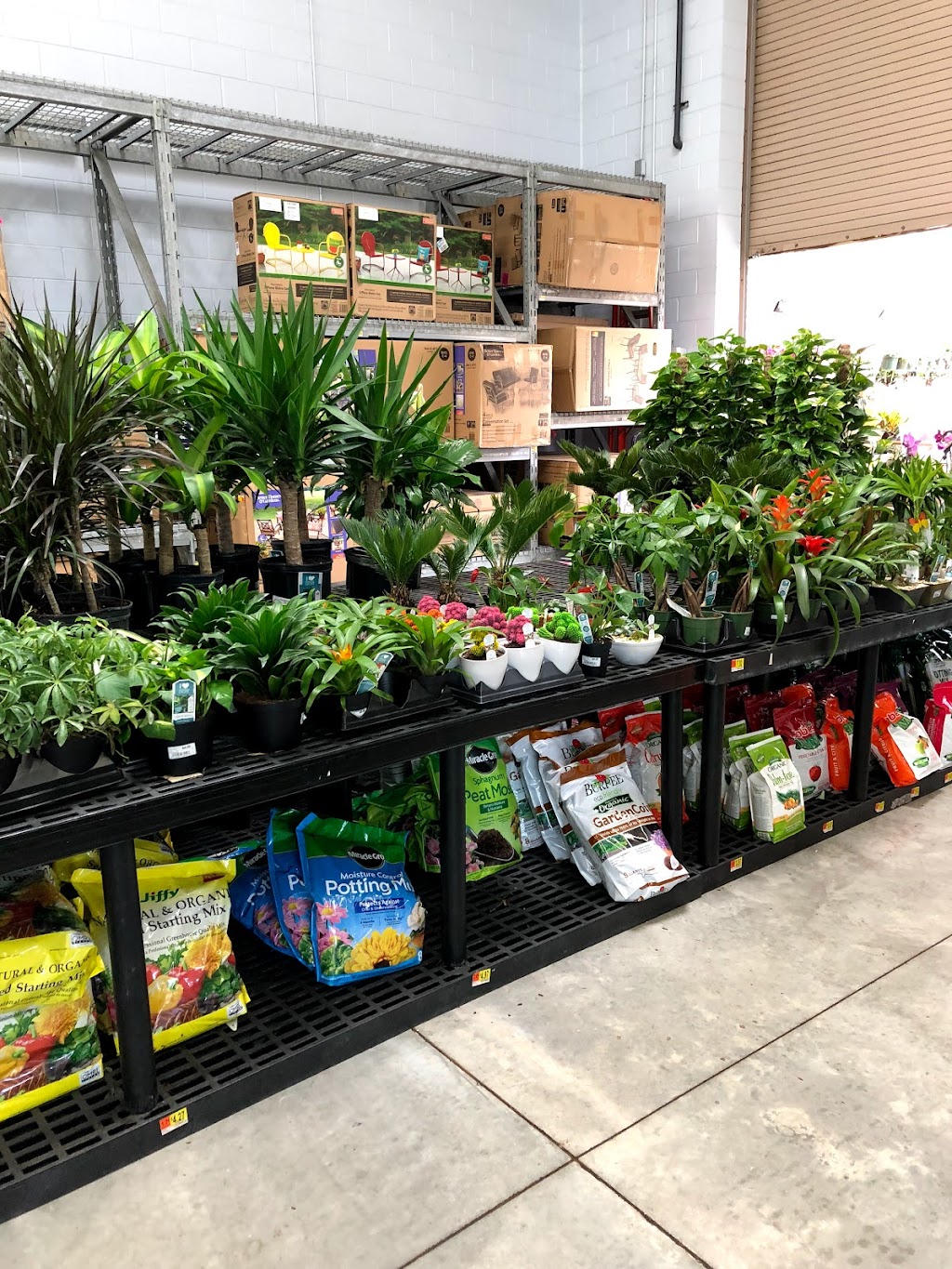 Walmart Garden Center | 1575 Land O Lakes Blvd, Lutz, FL 33549, USA | Phone: (813) 949-4238