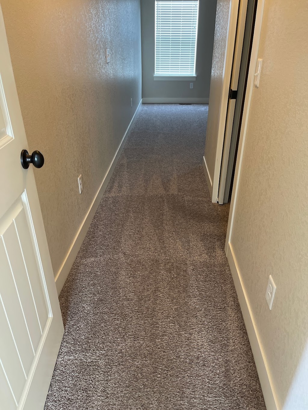 Affordable Clean Carpet LLC | 14572 Longhorn Dr, Mead, CO 80542, United States | Phone: (720) 340-1186