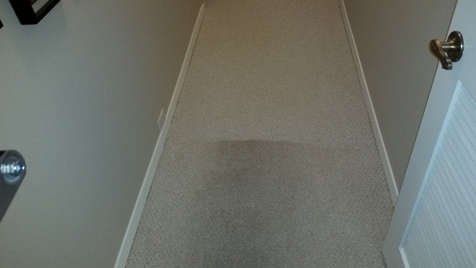 World Class Carpet Cleaning | 5303 Delta Dr, Rocklin, CA 95765, USA | Phone: (916) 606-7149