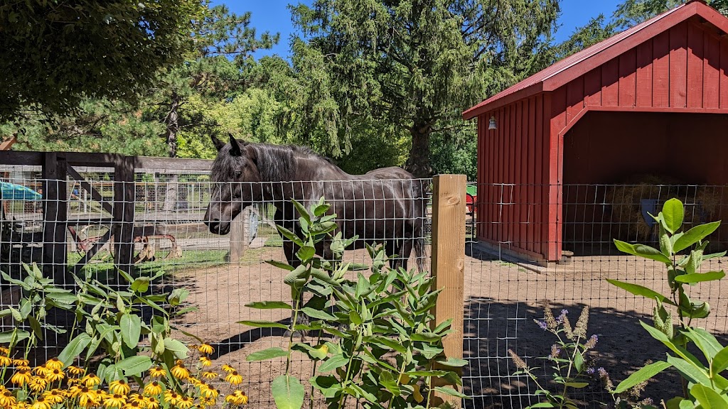 Happy Rolphs Animal Farm | 650 Read Rd, St. Catharines, ON L2R 7K6, Canada | Phone: (905) 688-5600