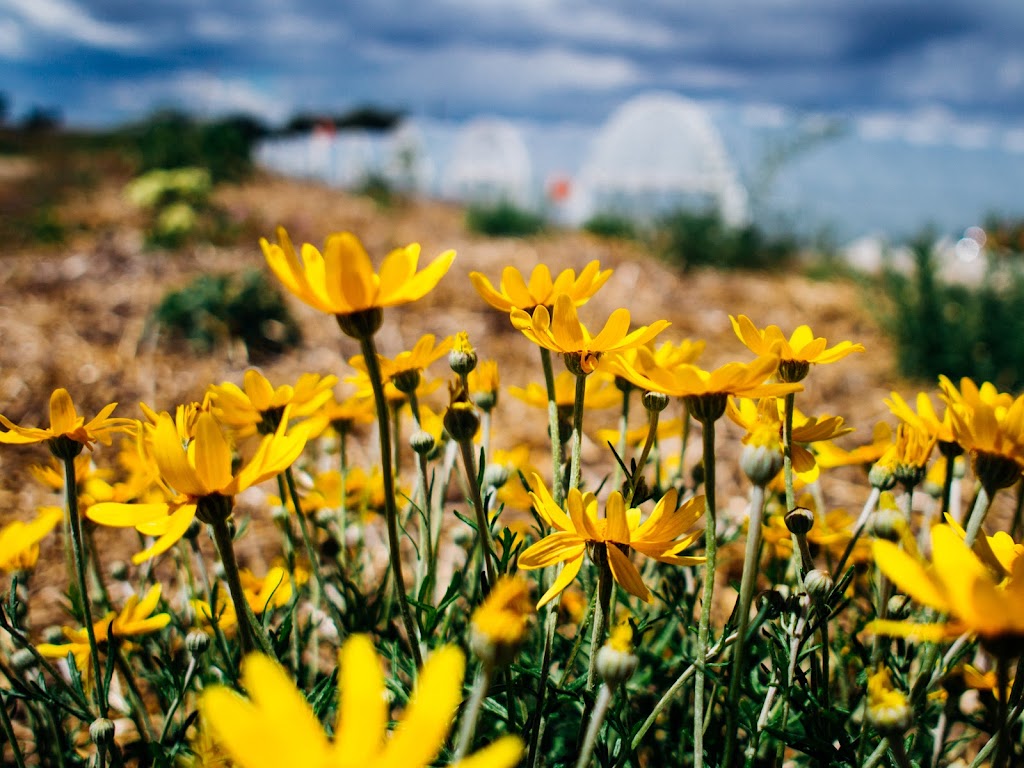 Purple Sage Farms | 11981 Bullock Rd, Middleton, ID 83644, USA | Phone: (208) 585-6140