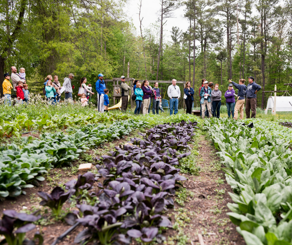 Broadfork Farm | 9501 Deer Range Rd, Moseley, VA 23120, USA | Phone: (804) 337-6540