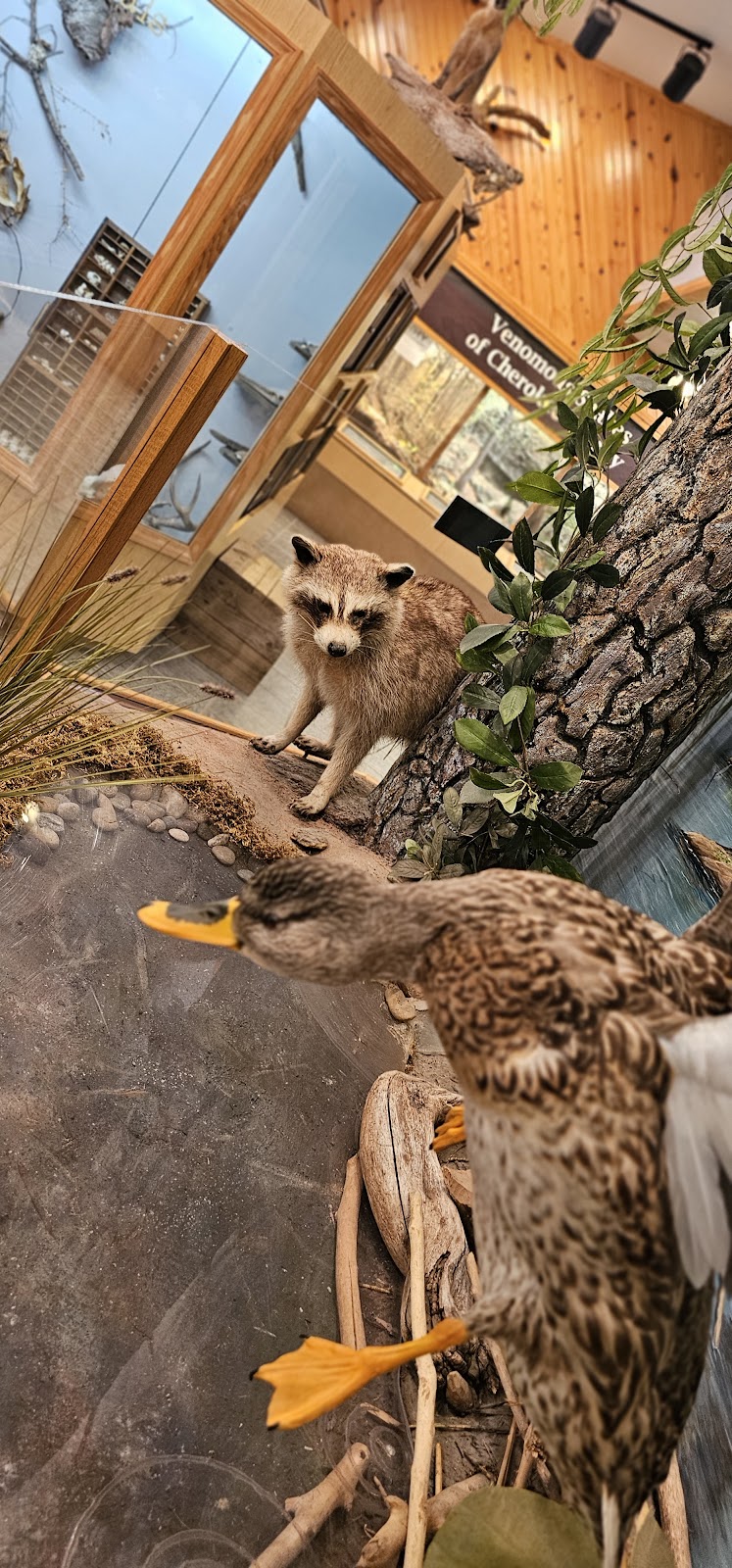 Three Forks Nature Center | 19460 Park 80, Hulbert, OK 74441, USA | Phone: (918) 772-2545