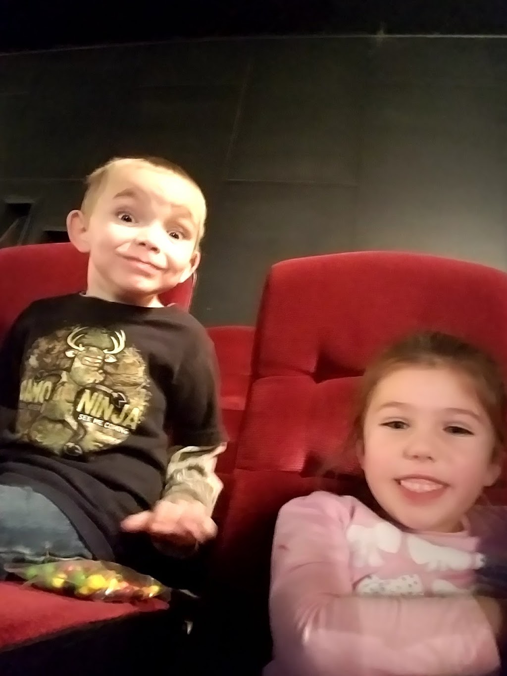 The Stadium Theatre | 117 E Pearl St, Jerseyville, IL 62052, USA | Phone: (618) 498-4711