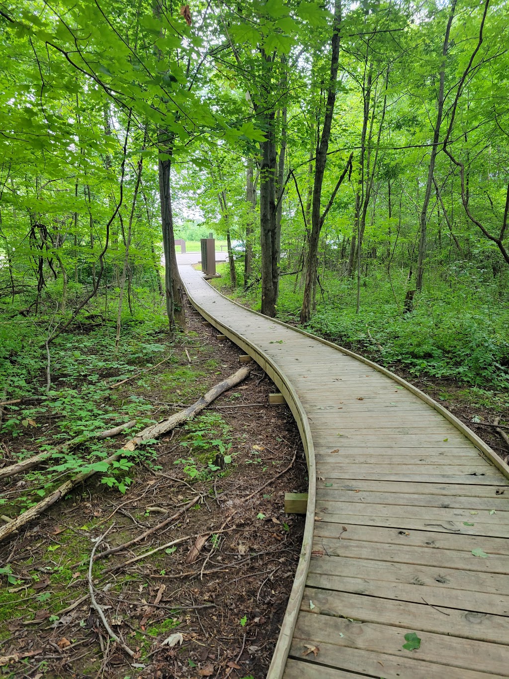 Fowler Woods State Nature Preserve | Mansfield, OH 44901, USA | Phone: (614) 265-6565