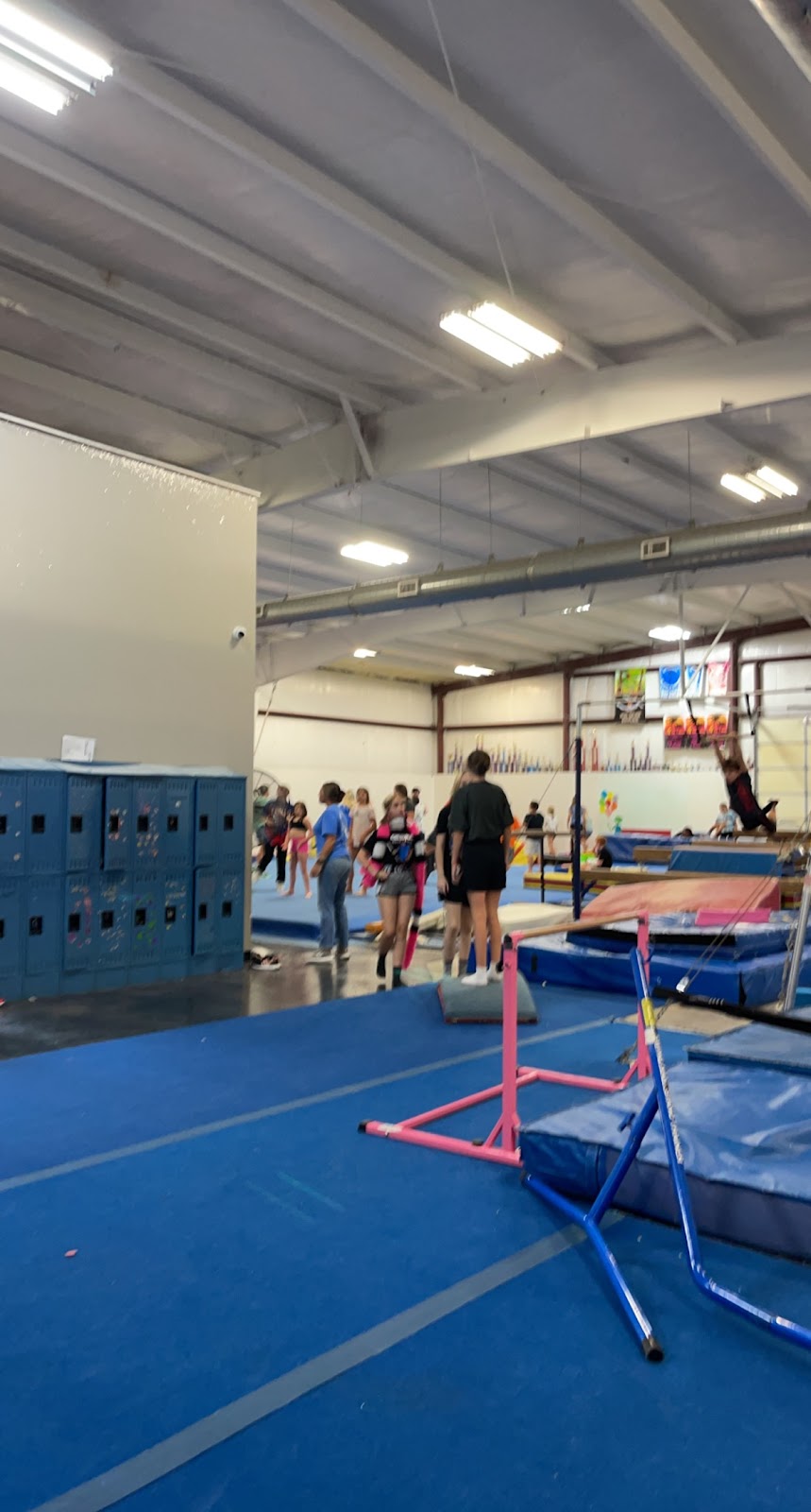 T Ks Gymnastics | 112 Brandon Way, Mt Sterling, KY 40353 | Phone: (859) 497-0033