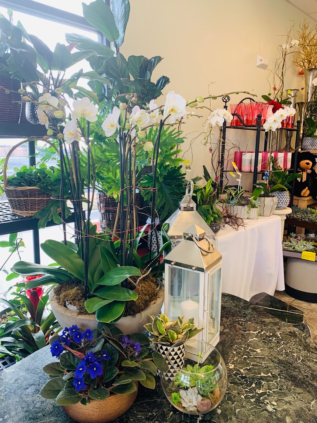 Lilies Flower Shop | 1095 N Greenwich Rd Ste 101, Wichita, KS 67206, USA | Phone: (316) 821-9634