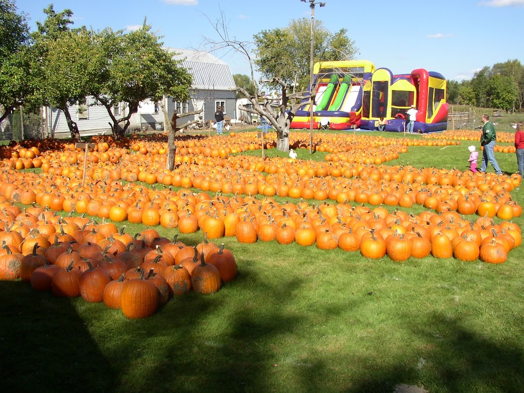 Meadowbrook Pumpkin Farm and Haunted Cornfield-Snow Service | 2970 Mile View Rd, West Bend, WI 53095, USA | Phone: (414) 617-3649