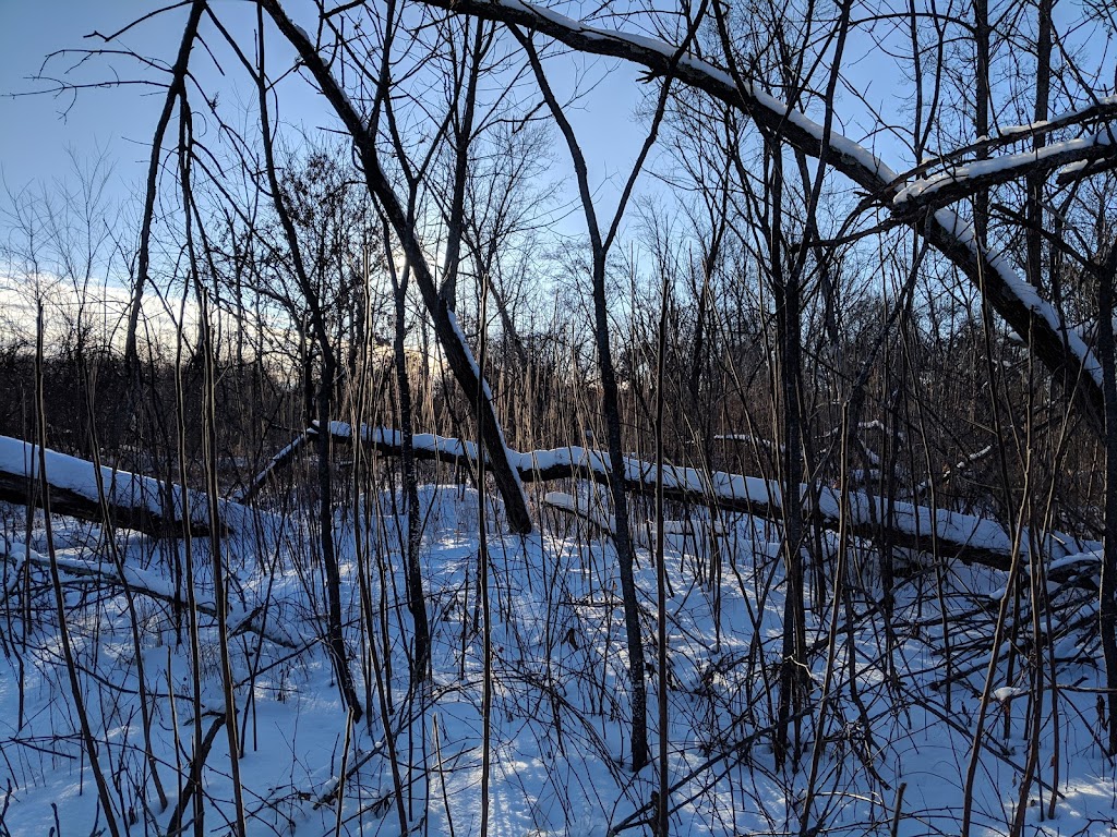 Pine Island Savanna State Natural Area | Levee Rd, Baraboo, WI 53913, USA | Phone: (888) 936-7463