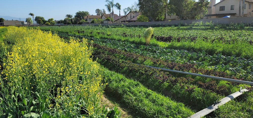 Family Farms | 13406 Cypress Ave, Chino, CA 91710, USA | Phone: (909) 717-5871