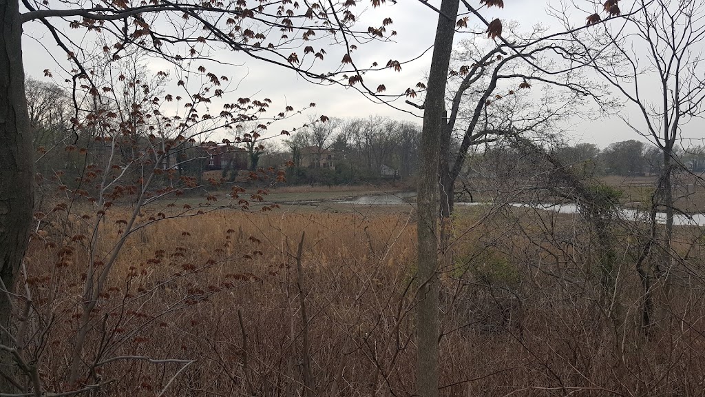 Lemon Creek Tidal Wetlands Area | Direnzo Ct, Staten Island, NY 10309 | Phone: (718) 482-4942