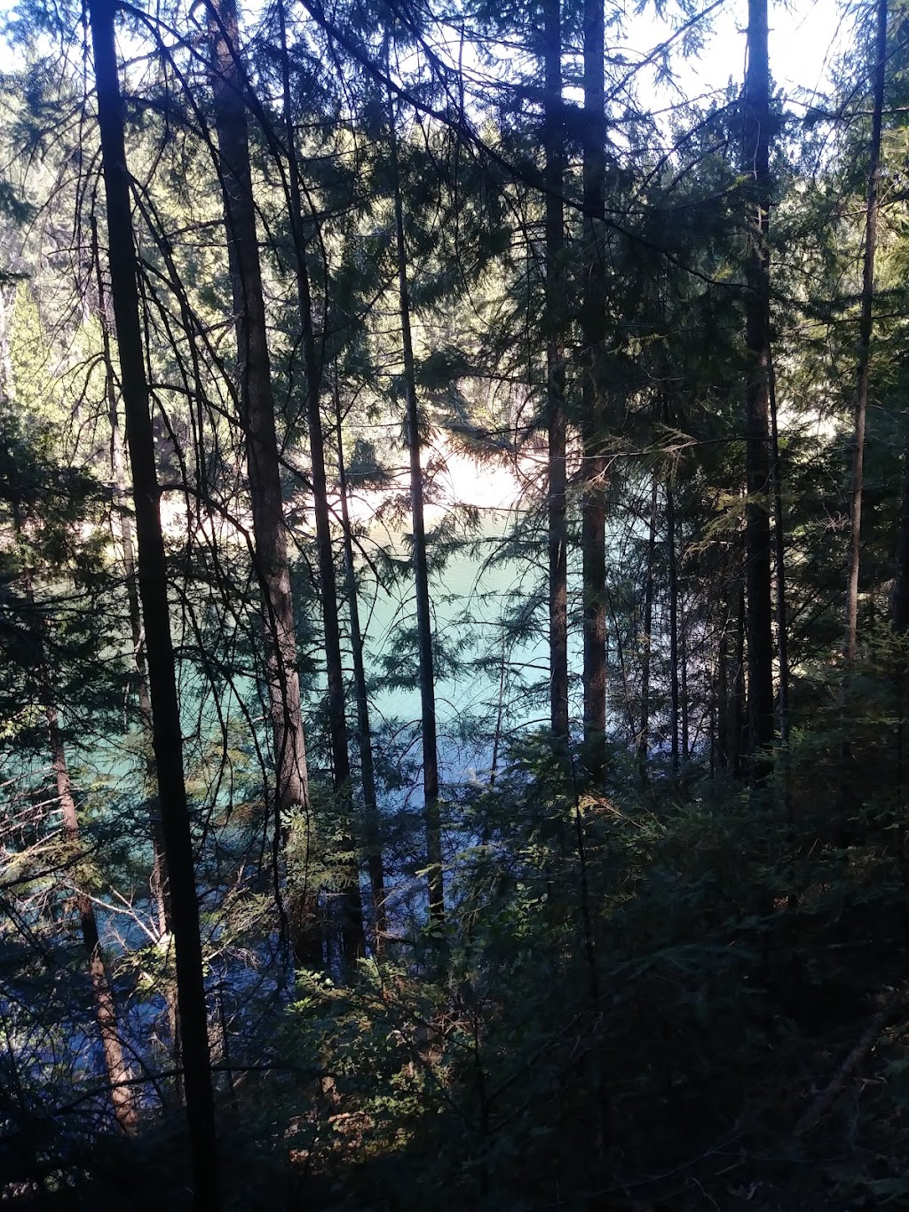 Fleming Trail System & Trailhead | Pollock Pines, CA 95726, USA | Phone: (530) 622-5061