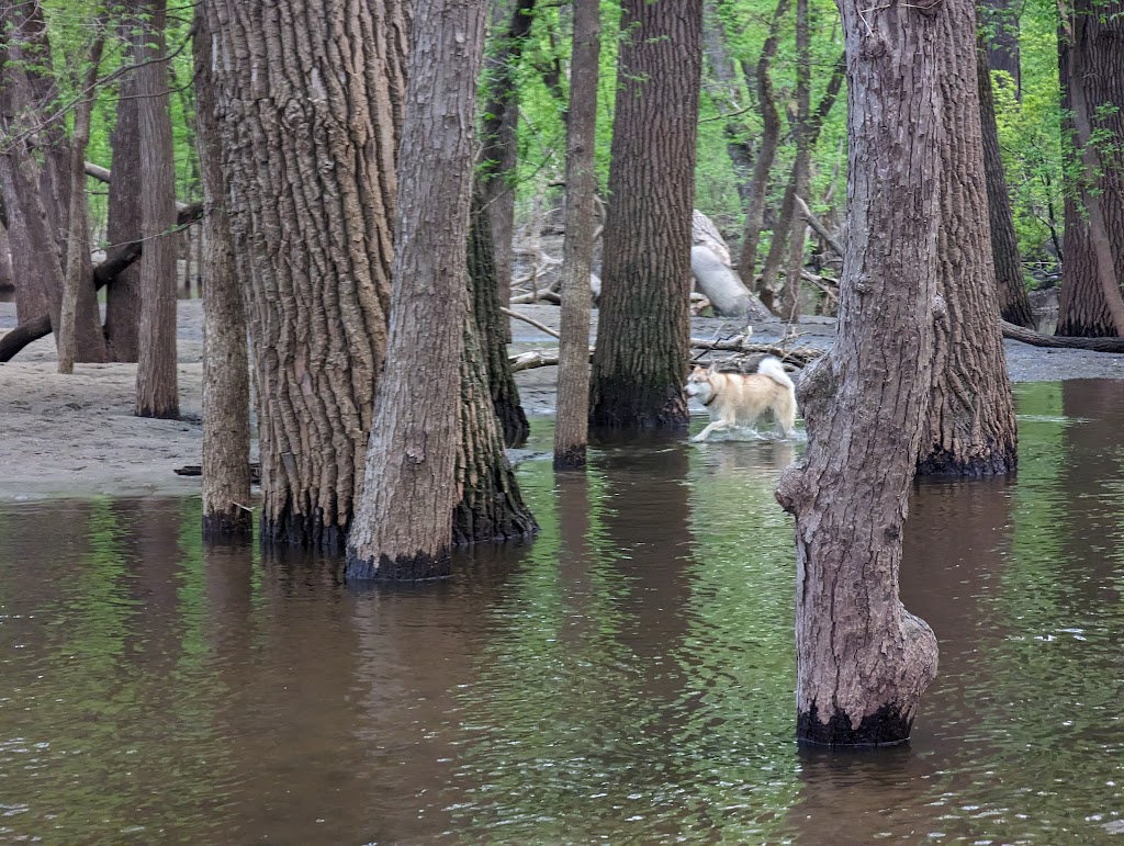 Minnehaha Dog Park | 5399 Minnehaha Park Dr S, Minneapolis, MN 55417, USA | Phone: (612) 230-6400