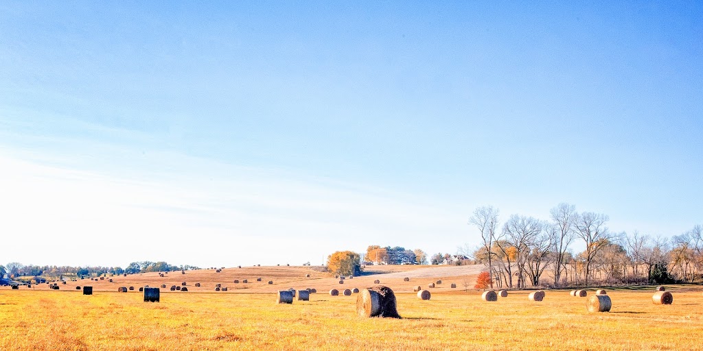 Visiting Angels Omaha | 226 N 114th St, Omaha, NE 68154, USA | Phone: (402) 917-8225