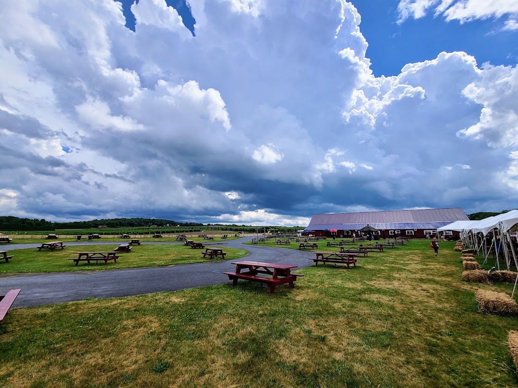 Belkin Family Lookout Farm - U-Pick Fruit, Dining & Market | 89 Pleasant St S, Natick, MA 01760, USA | Phone: (508) 745-3697