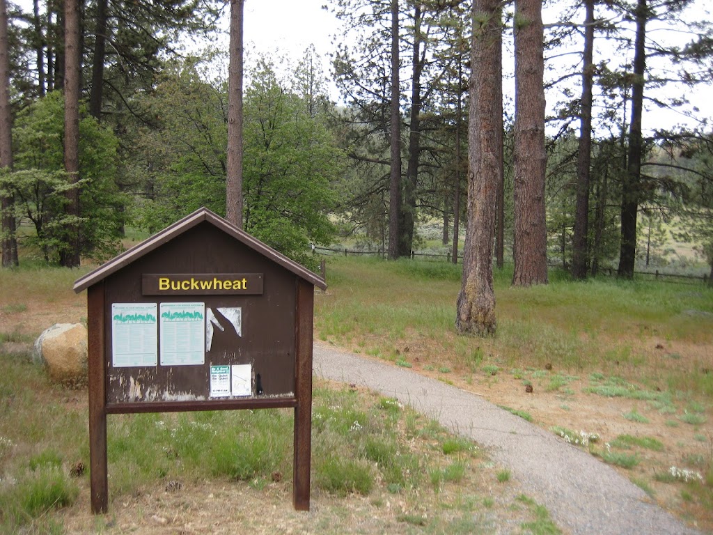 El Prado Group Campground - Big Sage | Laguna Meadow Rd, Mt Laguna, CA 91948, USA | Phone: (877) 444-6777