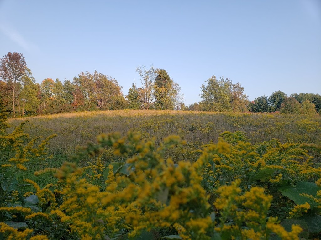 Greystone Nature Preserve | 8531 Bear Lake Rd, Fredonia, NY 14063, USA | Phone: (716) 679-6603