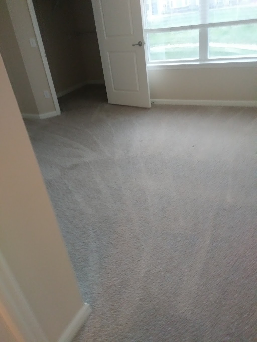 Elevation Carpet Cleaning | 4177, 7000 E 58th Ave #8, Commerce City, CO 80022, USA | Phone: (720) 371-6724