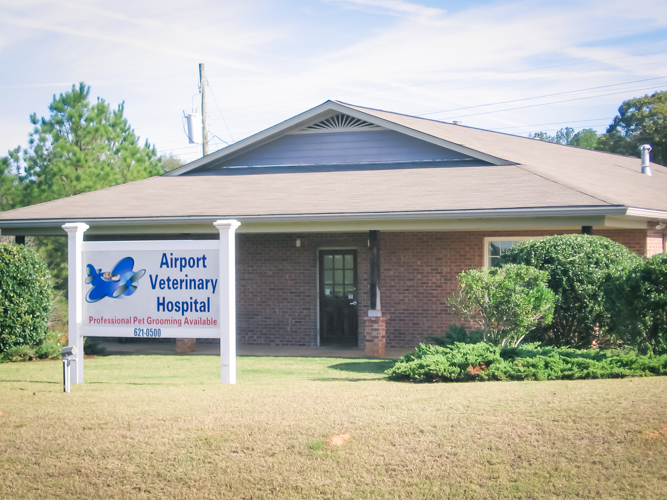 Airport Veterinary Hospital | 1252 George Roy Pkwy, Calera, AL 35040, USA | Phone: (205) 621-0500