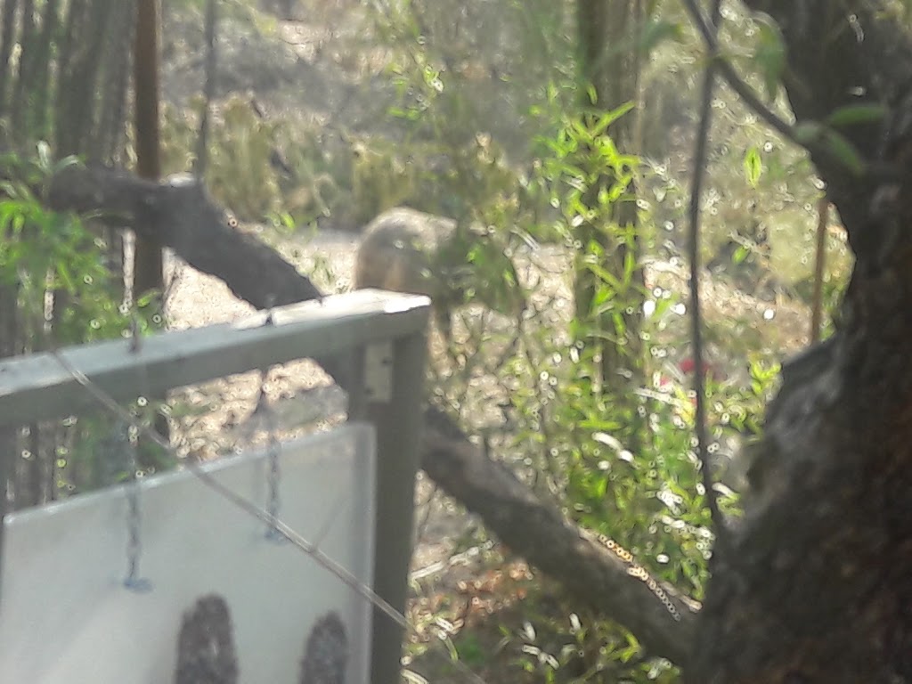 Tucson Estates Foothills | 5700 W Lone Star Dr, Tucson, AZ 85713, USA | Phone: (520) 883-9494