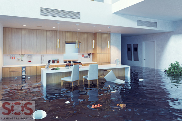 SOS Cleaning and Restoration | 2751 Rustic Hill Dr, Prior Lake, MN 55372, USA | Phone: (952) 847-3404
