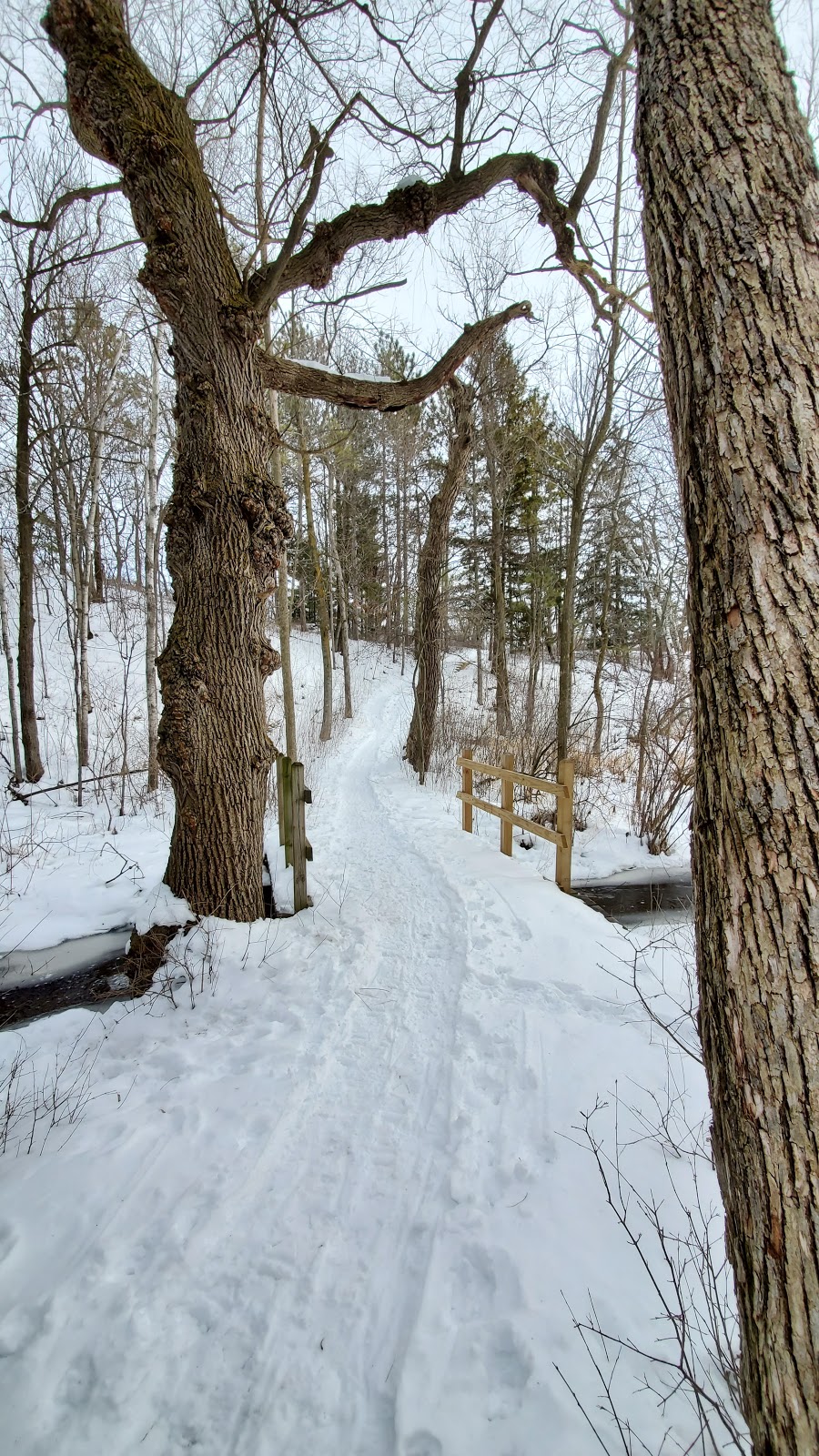 Friends of Lac Lawrann Conservancy | 300 Schmidt Rd, West Bend, WI 53090, USA | Phone: (262) 335-5080