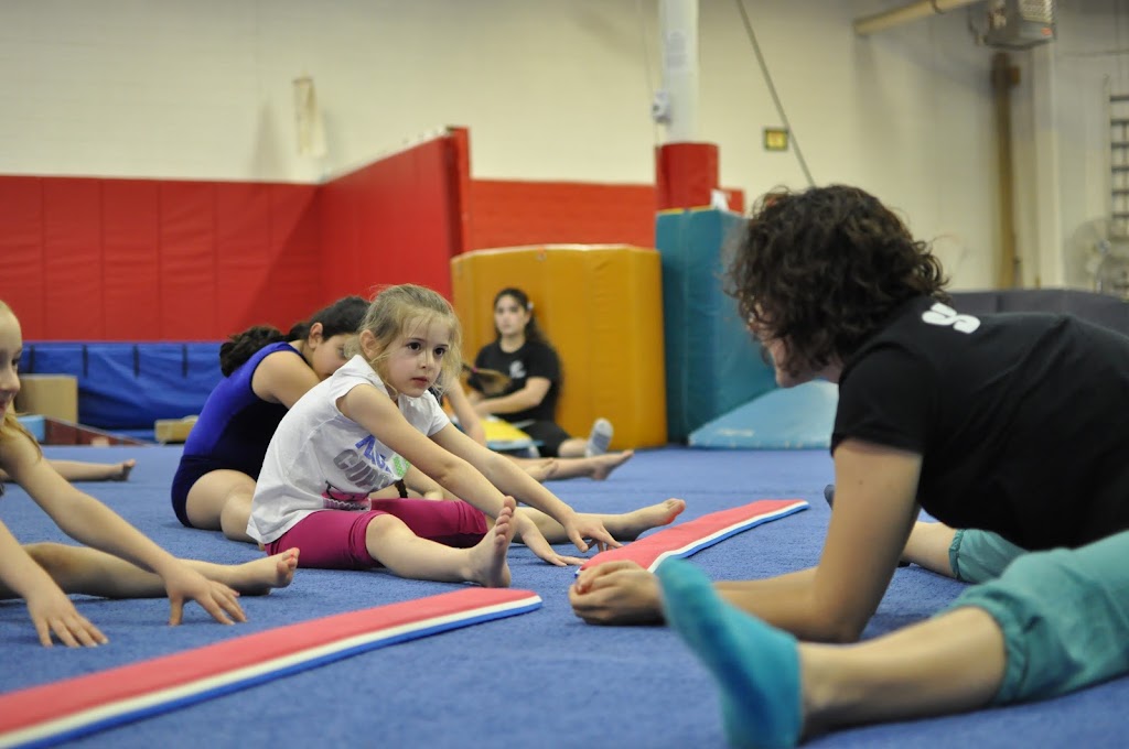 Paragon School-Artistic Gymnastics | 49 Walnut St STE 4, Norwood, NJ 07648, USA | Phone: (201) 767-6921