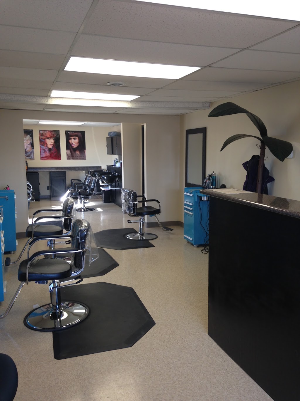 Shear Paradise Salon | 1871 Whitehaven Rd, Grand Island, NY 14072 | Phone: (716) 773-0000