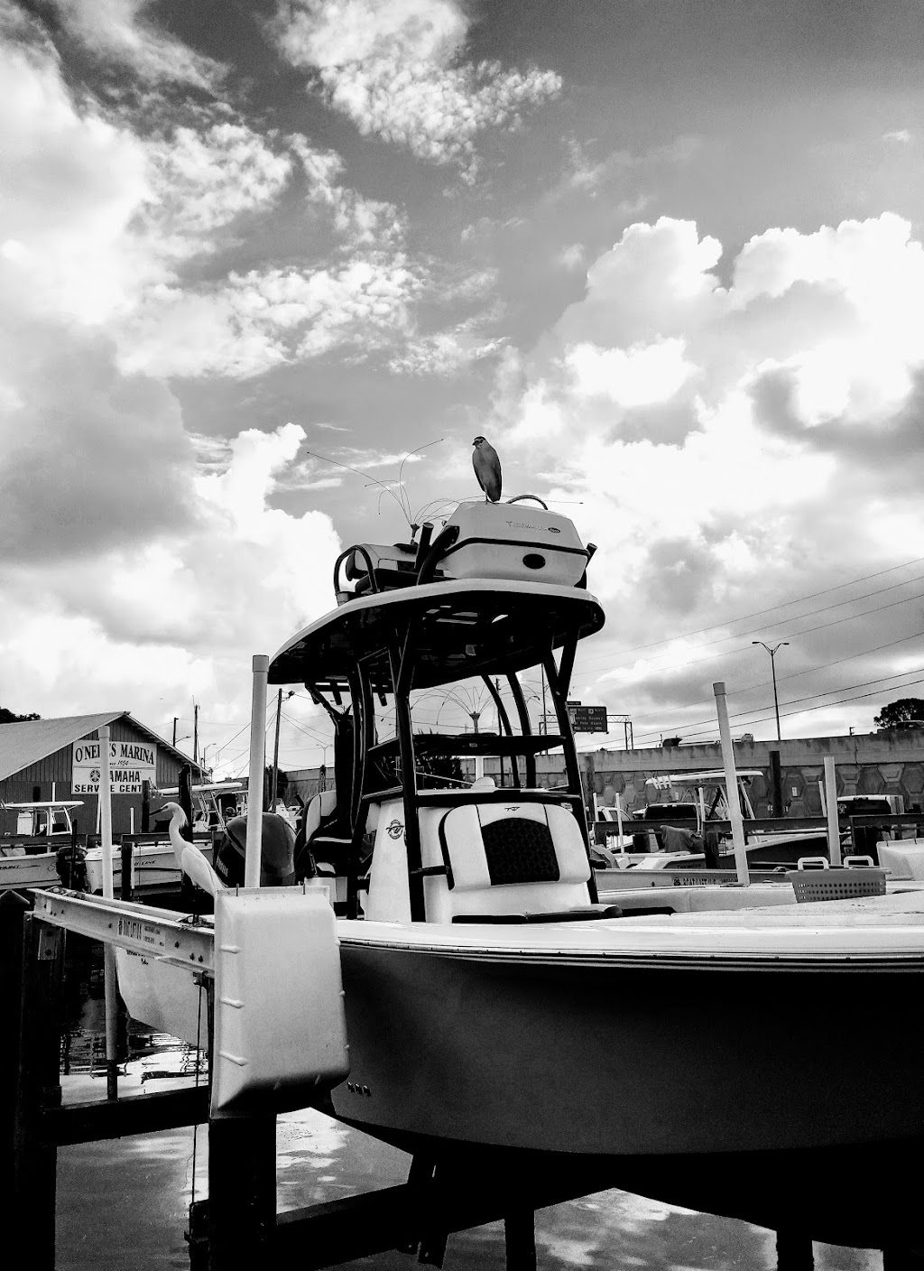 ONeills Marina | 6701 Sunshine Skyway Ln S, St. Petersburg, FL 33711, USA | Phone: (727) 867-2585
