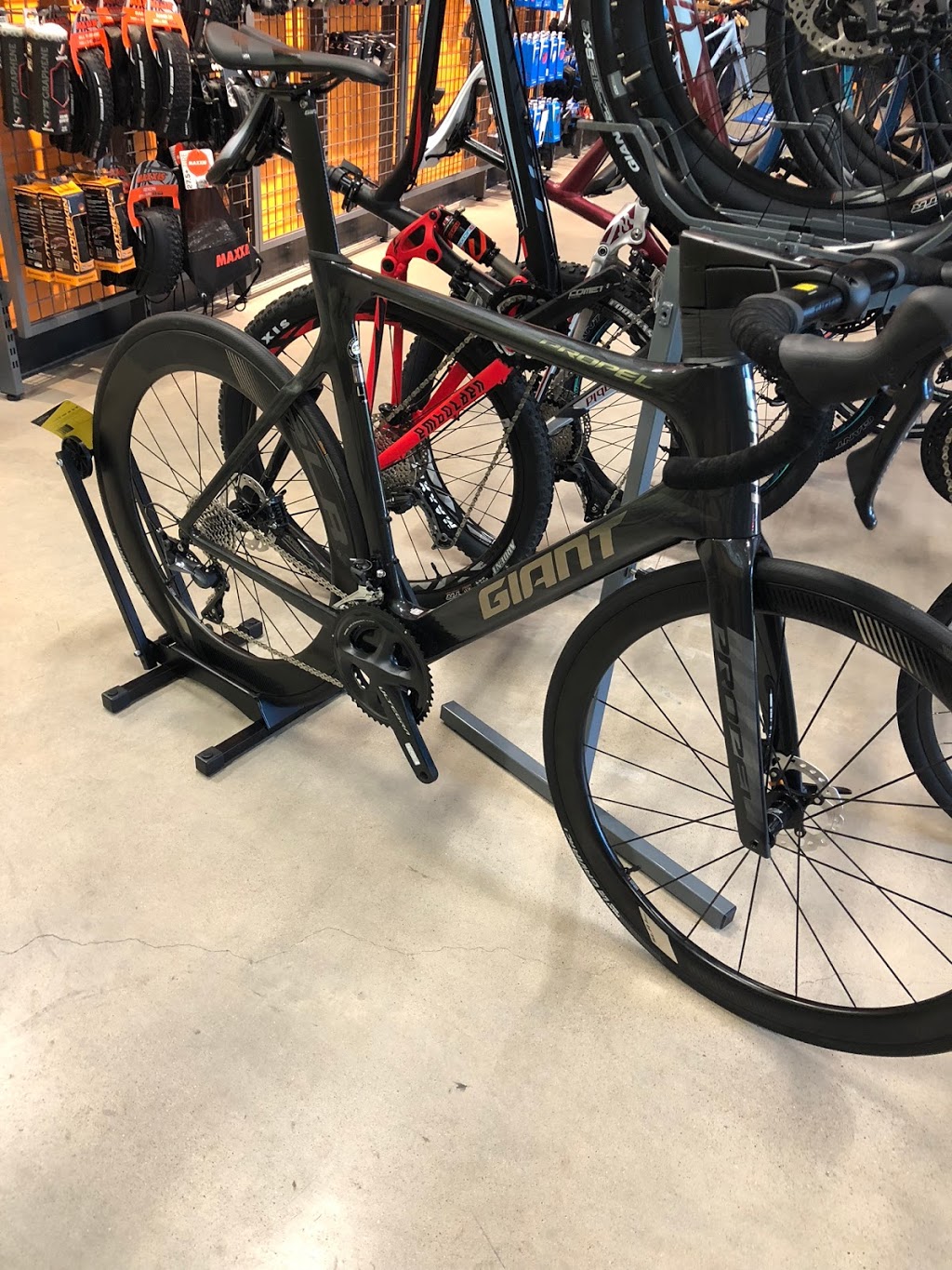 Preston Hollow Bicycles | 3850 W Northwest Hwy #1170, Dallas, TX 75220, USA | Phone: (214) 434-1515