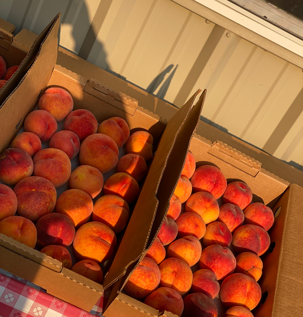 Ken & Junes Hazelnuts Melcher Family Farms | 8046 McKay Rd NE, St Paul, OR 97137, USA | Phone: (503) 633-2191