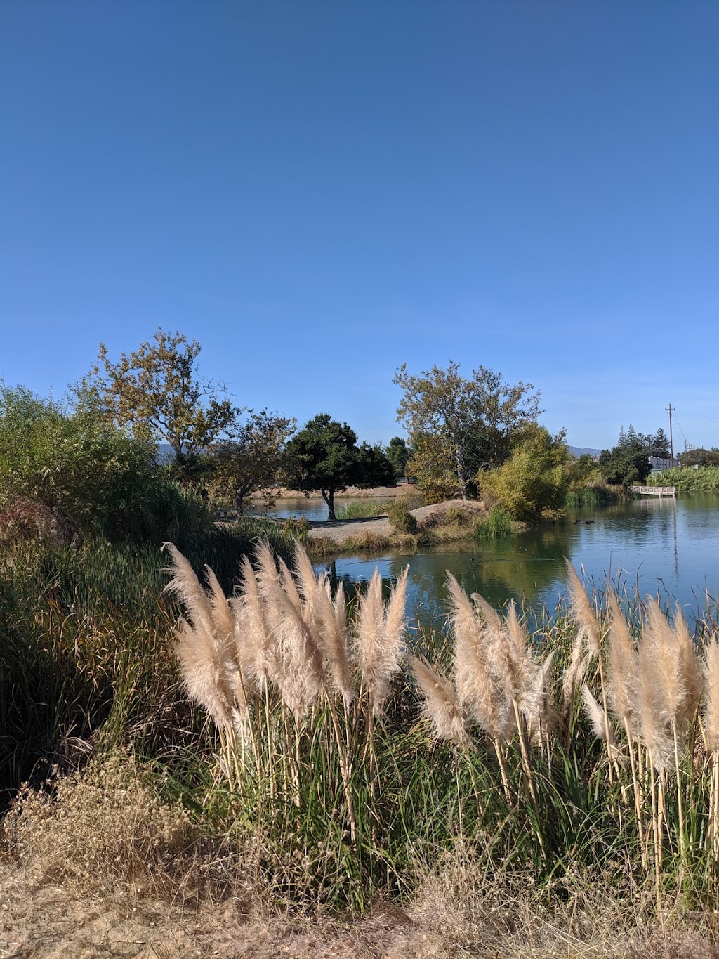 Los Gatos Creek County Park | 1250 Dell Ave, Campbell, CA 95008, USA | Phone: (408) 356-2729