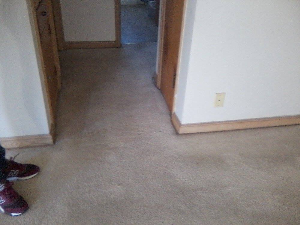 Heavens Best Carpet Cleaning Milwaukee WI | 6714 W Fairview Ave, Milwaukee, WI 53213, USA | Phone: (414) 202-8515