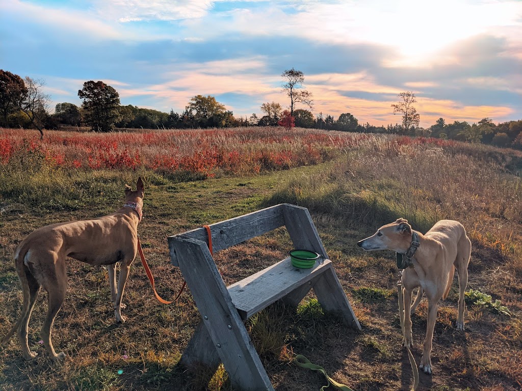 Belwin Conservancy: Stagecoach Prairie | 825 Stagecoach Trail S, Afton, MN 55001, USA | Phone: (651) 436-5189