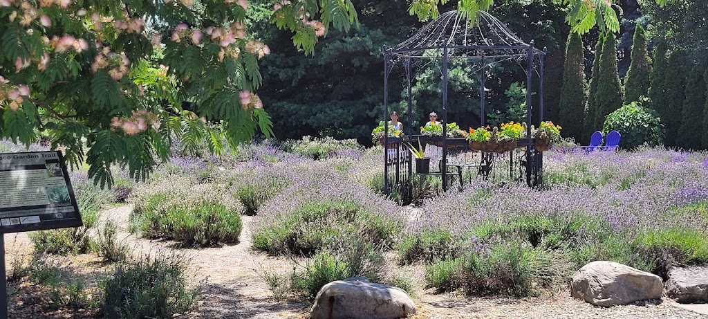 Serenity Lavender Farm Inc | 130 County Rd 50 E, Essex, ON N0R 1G0, Canada | Phone: (519) 738-6111