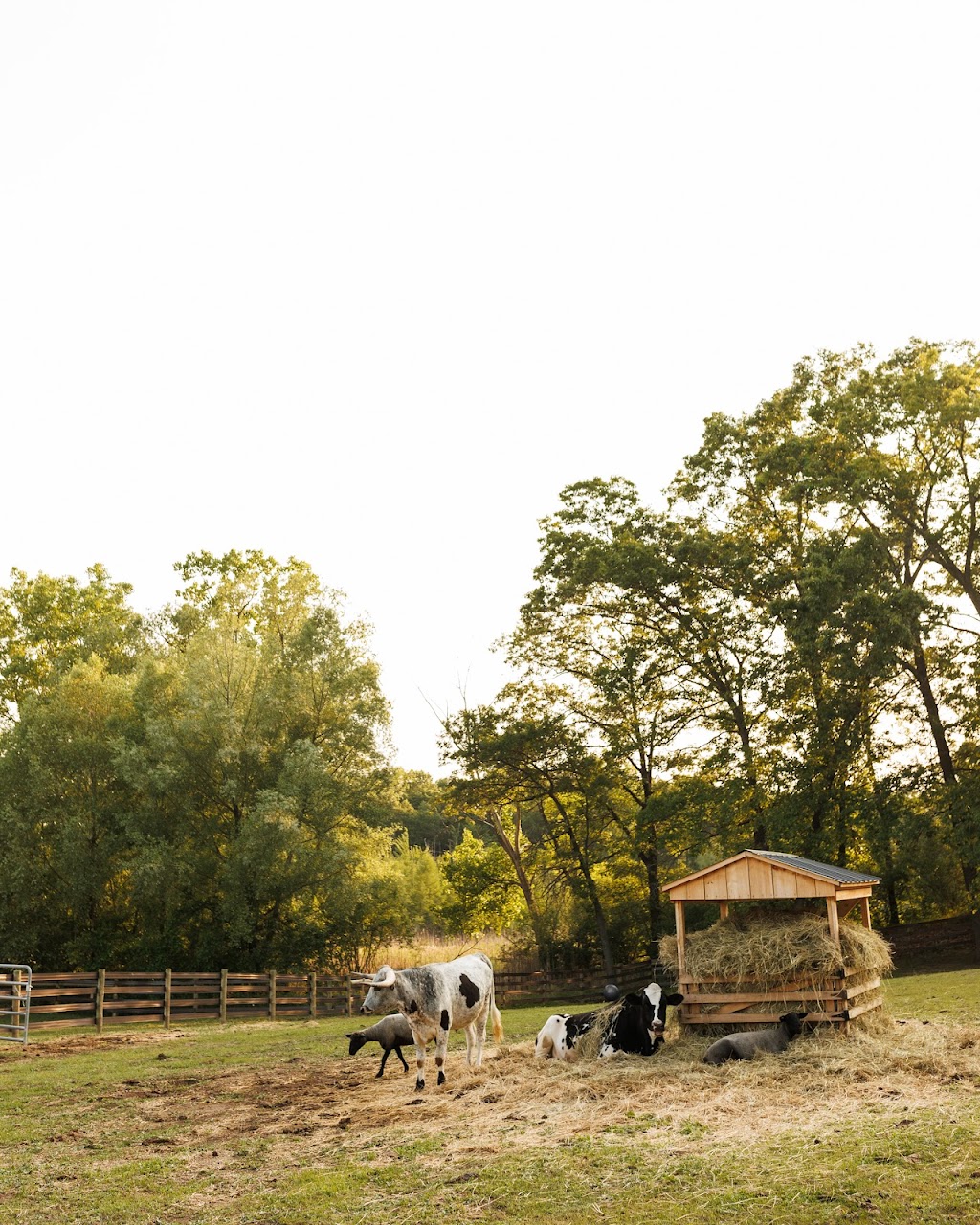 Narrin Farms | Vacation Rentals | Horse Boarding | 1100 Bird Rd, Ortonville, MI 48462, USA | Phone: (248) 692-7831