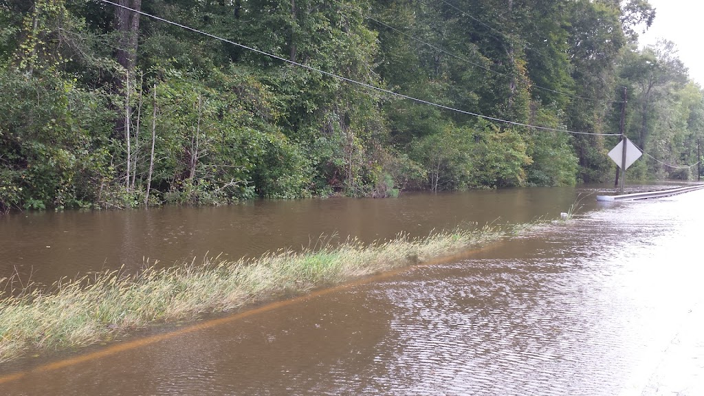 International Paper Co | 34040 Union Camp Dr, Franklin, VA 23851, USA | Phone: (757) 569-4321