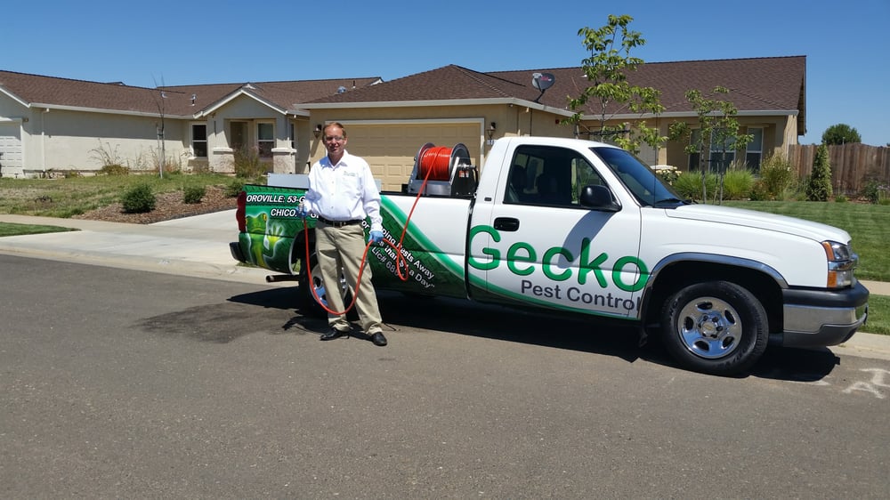 Gecko Pest Control | 89 Lincoln Blvd, Lincoln, CA 95648, USA | Phone: (916) 434-7378