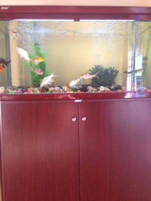 Top10 Massage, Cool Place, Hot Masseuse. | 13902 Brookhurst St, Garden Grove, CA 92843, USA | Phone: (714) 600-2994