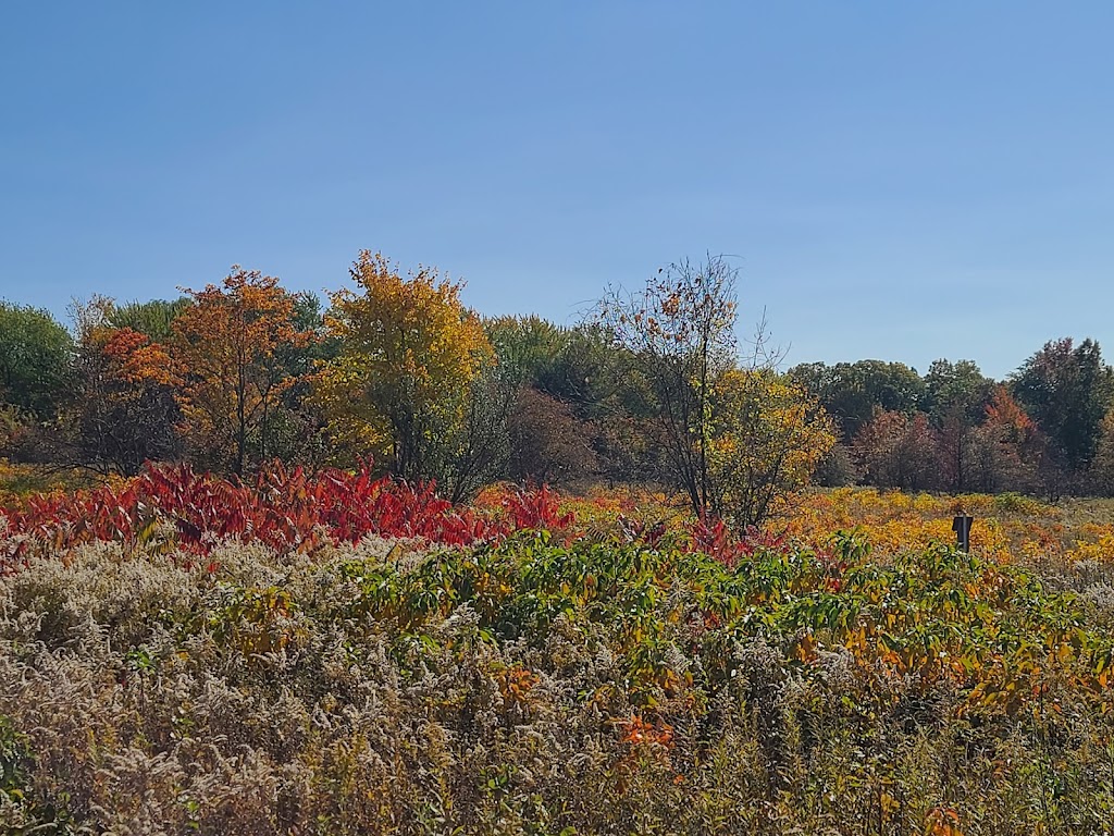 Penitentiary Glen Reservation | 8668 Kirtland Chardon Rd, Kirtland, OH 44094, USA | Phone: (440) 256-1404