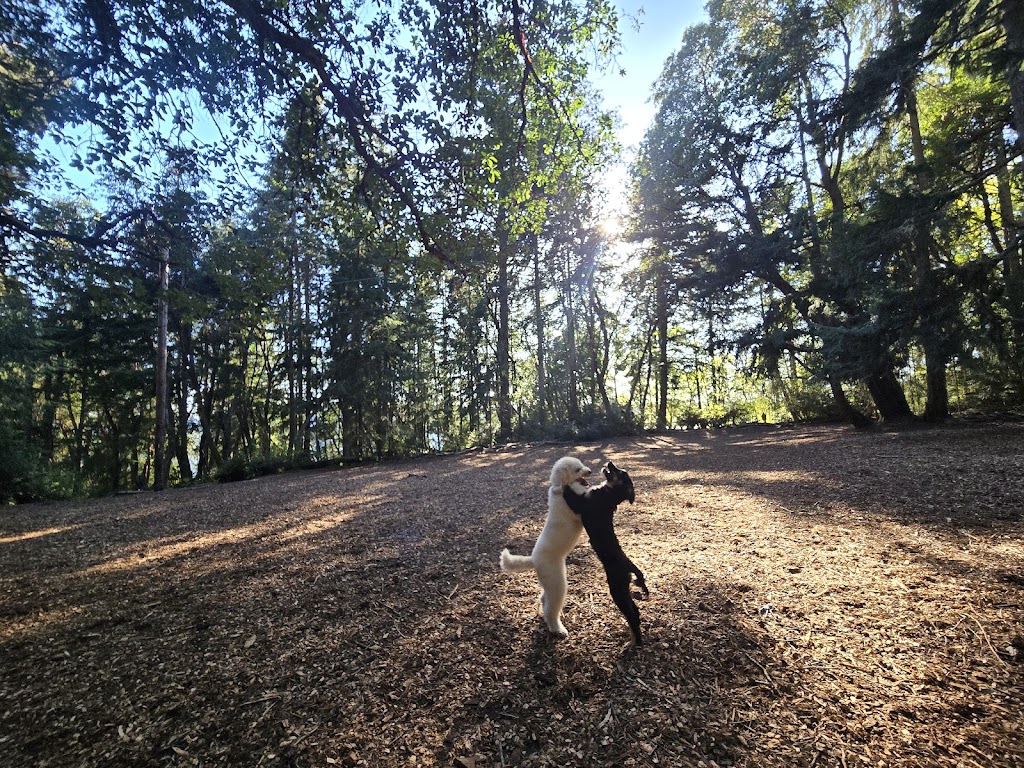Point Defiance Dog Park | Five mile Rd, Tacoma, WA 98407, USA | Phone: (253) 305-1024
